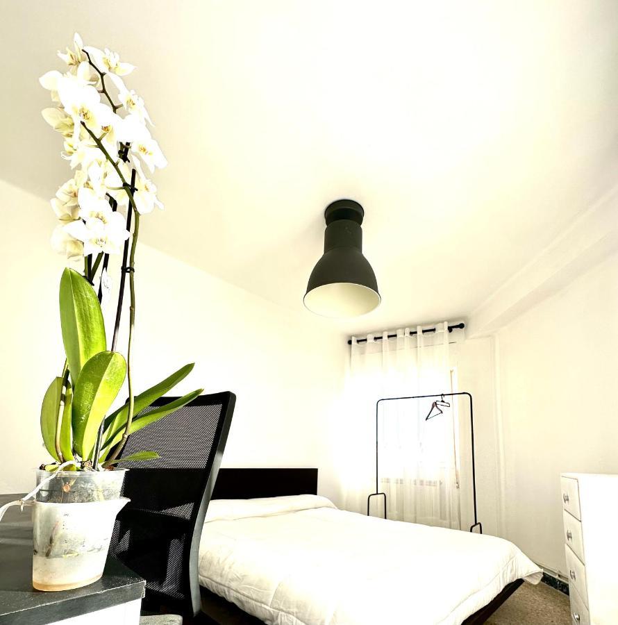 Apartamento Cebra Apartment Zaragoza Bagian luar foto