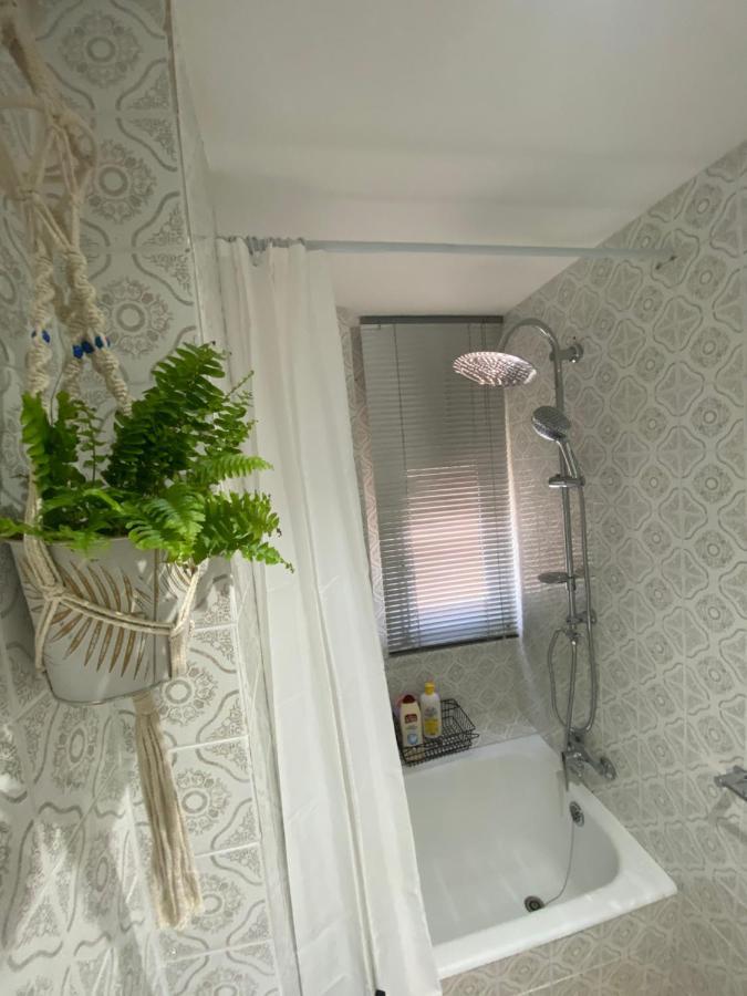 Apartamento Cebra Apartment Zaragoza Bagian luar foto
